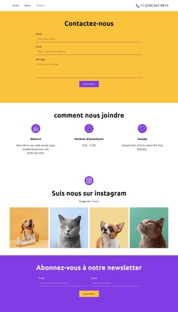 Suivez-Nous Sur – Thème WordPress