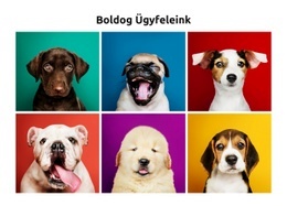 Ingyenes Online Sablon A Kutyák A Legjobb Barátaim Számára