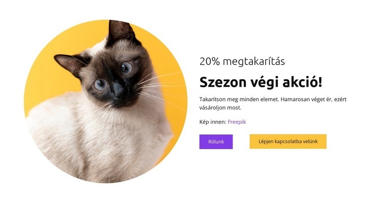 A macskák a legjobb barátaim Weboldal tervezés