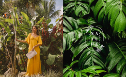 Ethnic Style In Fashion - Single Page Website Template