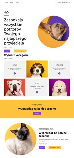 Najlepsi Przyjaciele Projektant Stron Internetowych