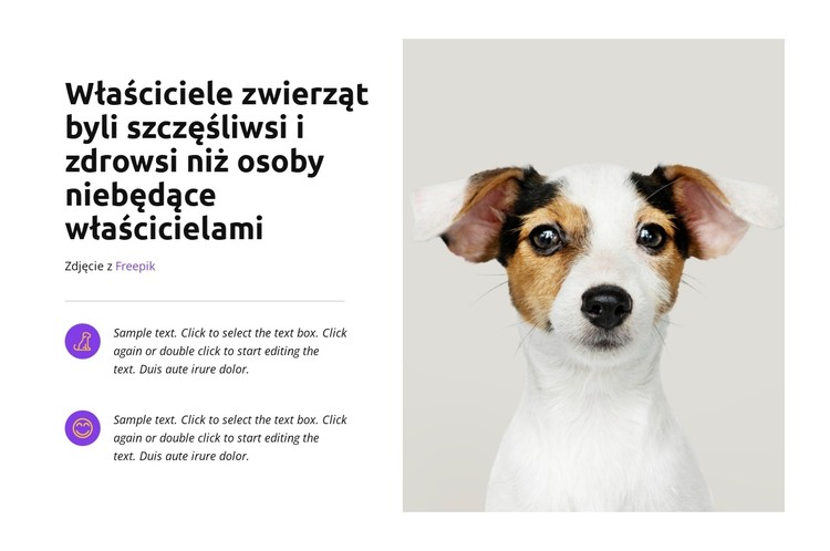 Wkrótce się kończy, więc kupuj już teraz Szablon CSS