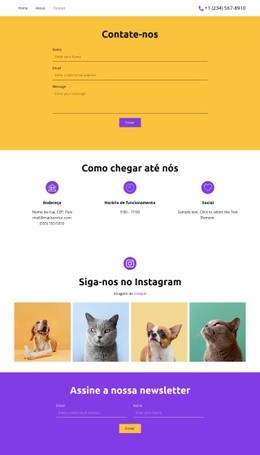 Siga-Nos No - Website Creator HTML