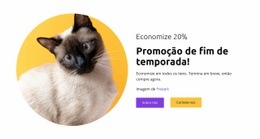 Gatos São Meus Melhores Amigos