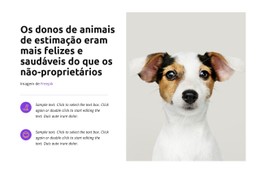 Termina Em Breve, Então Compre Agora Modelo CSS Básico