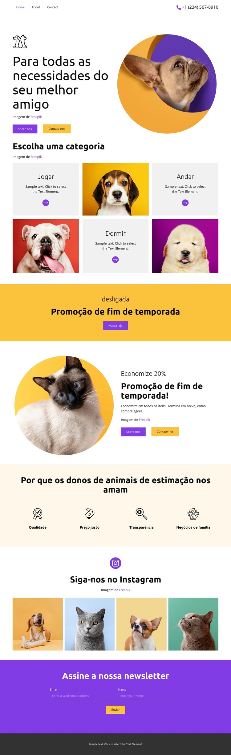 Os melhores amigos Modelo de site