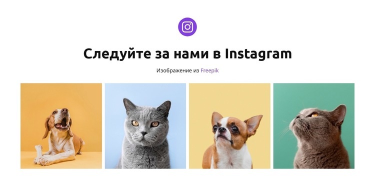 Наши счастливые питомцы HTML5 шаблон