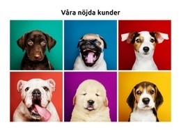 Hundar Är Mina Bästa Vänner - Enkel Webbplatsmall