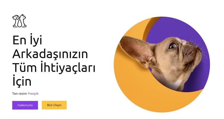 Yiyecek ve atıştırmalıklardan oyuncaklara kadar CSS Şablonu