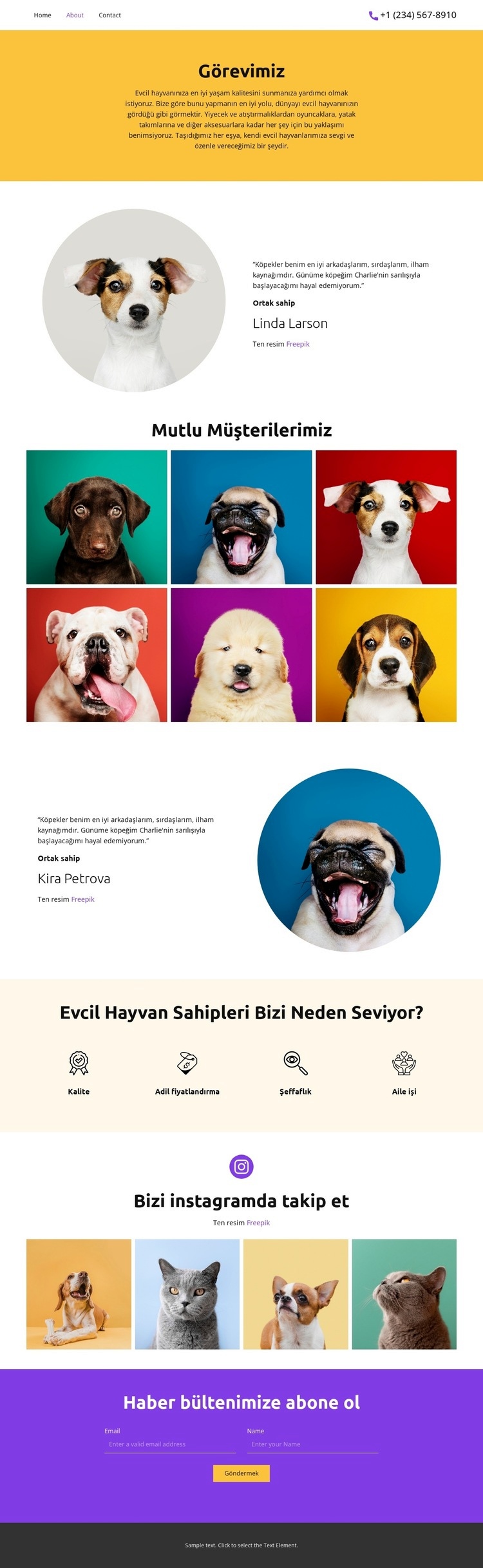 Tüm evcil hayvanlarınız için HTML5 Şablonu