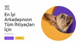 Yiyecek Ve Atıştırmalıklardan Oyuncaklara Kadar - Modern Site Tasarımı