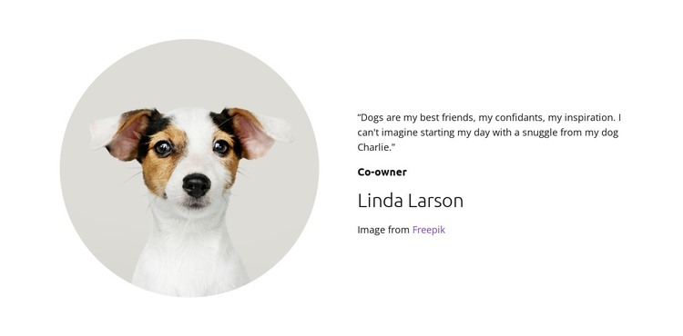 Dogs Owners Web Design