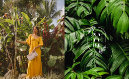 Ethnic Style In Fashion - Multi-Purpose Homepage Design