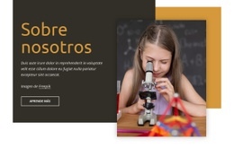 Desarrollo Científico Para Niños. - Plantilla De Maqueta De Sitio Web