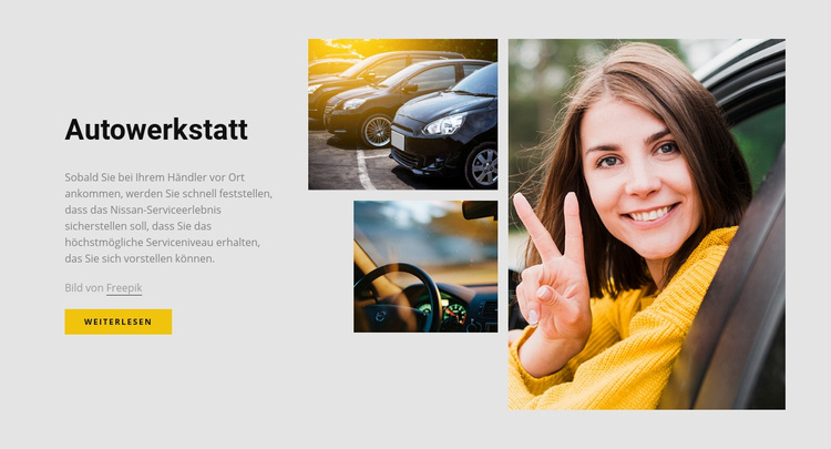 Schneller und effizienter Service WordPress-Theme