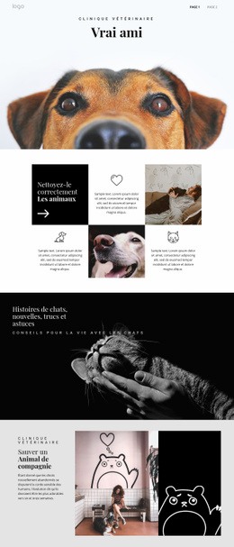 Trouver Votre Véritable Ami Animal - Modèle HTML5 Simple