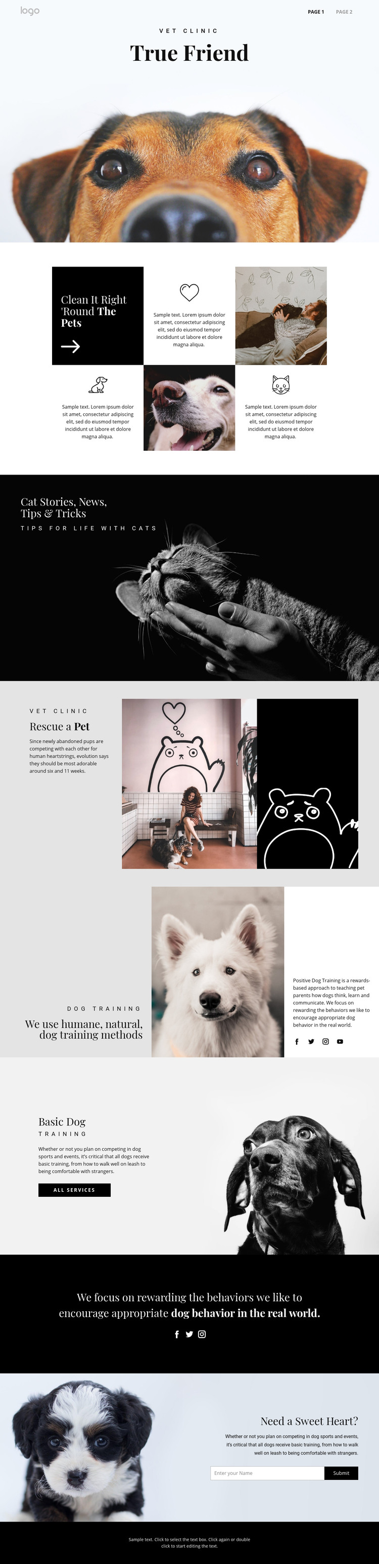 Finding your true friend pet Homepage Design