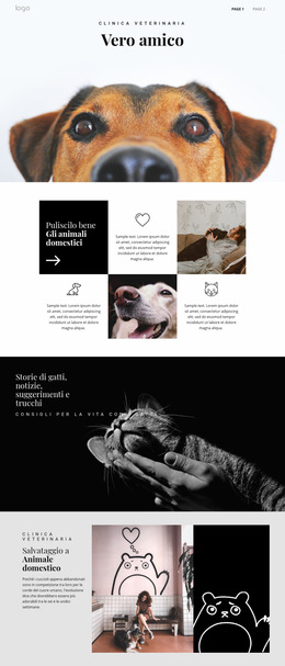 Trovare Il Tuo Vero Amico Animale Domestico Temi Wordpress