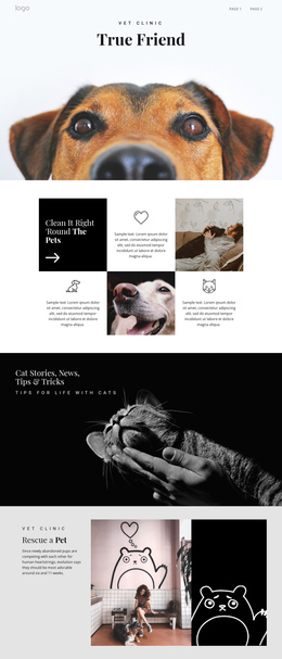Finding Your True Friend Pet One Page Template