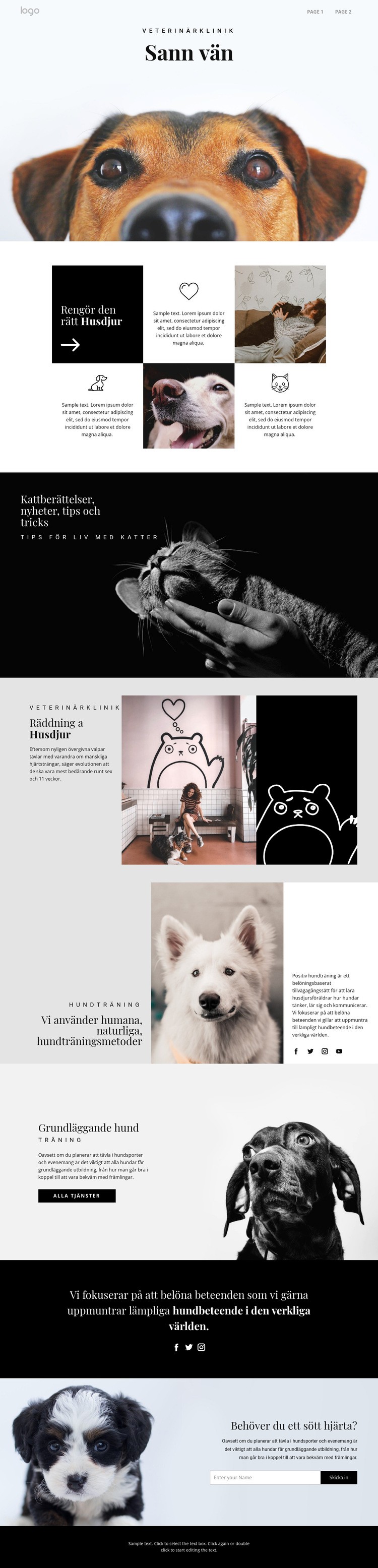Hitta ditt sanna vän husdjur CSS -mall