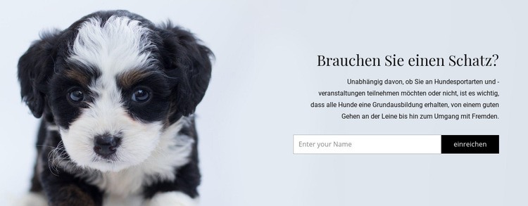 Nimm einen Hund aus einem Tierheim Website Builder-Vorlagen
