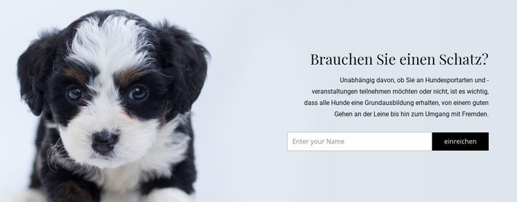 Nimm einen Hund aus einem Tierheim Website-Modell