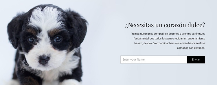 Sacar un perro de un refugio Creador de sitios web HTML