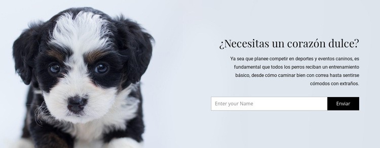 Sacar un perro de un refugio Plantillas de creación de sitios web