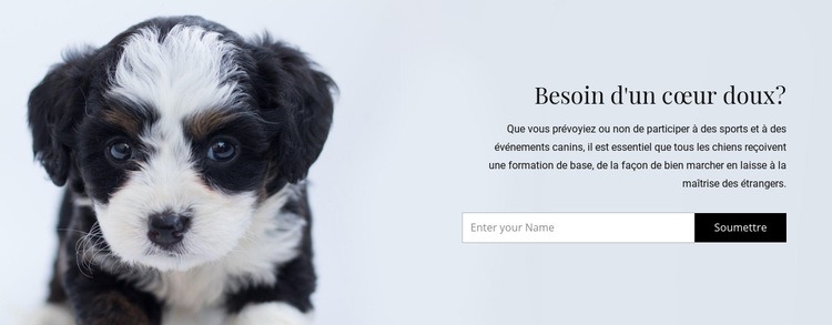 Emmenez un chien dans un refuge Conception de site Web
