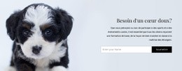 Emmenez Un Chien Dans Un Refuge - Drag And Drop HTML Builder