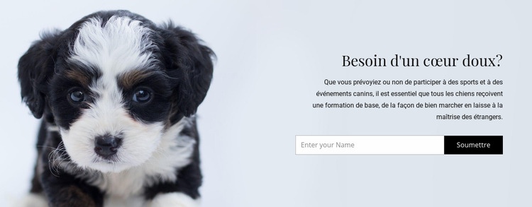 Emmenez un chien dans un refuge Créateur de site Web HTML