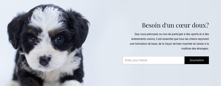 Emmenez un chien dans un refuge Maquette de site Web
