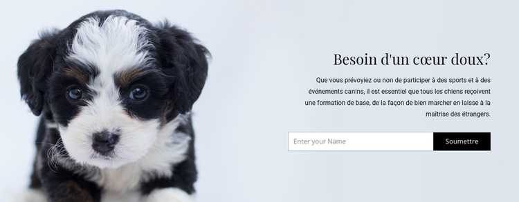 Emmenez un chien dans un refuge Modèle de site Web