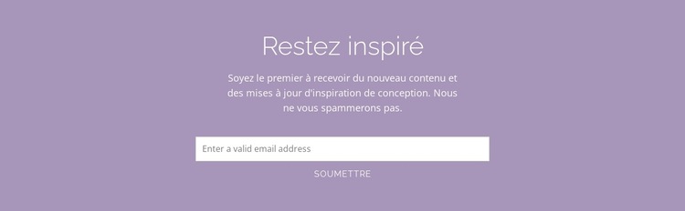 Fonctionnel et époustouflant Modèle de site Web