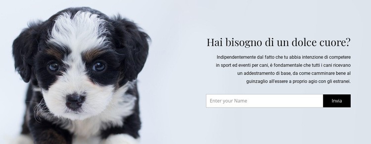 Prendi un cane da un rifugio Costruttore di siti web HTML