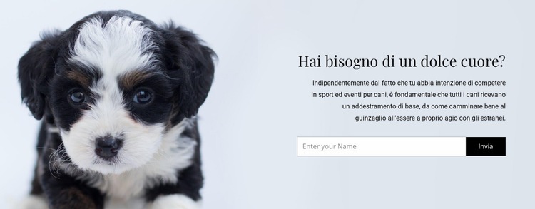 Prendi un cane da un rifugio Modelli di Website Builder