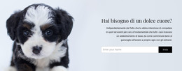 Prendi Un Cane Da Un Rifugio - Modello Di Sito Web HTML