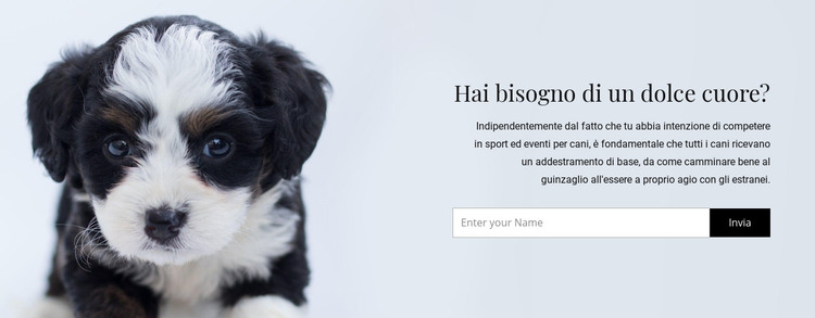Prendi un cane da un rifugio Modello HTML