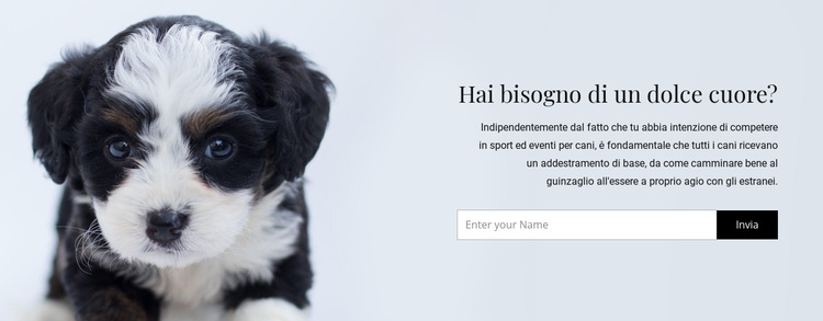 Prendi un cane da un rifugio Tema WordPress