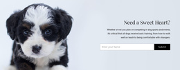 Take A Dog From A Shelter - Multipurpose Joomla Template