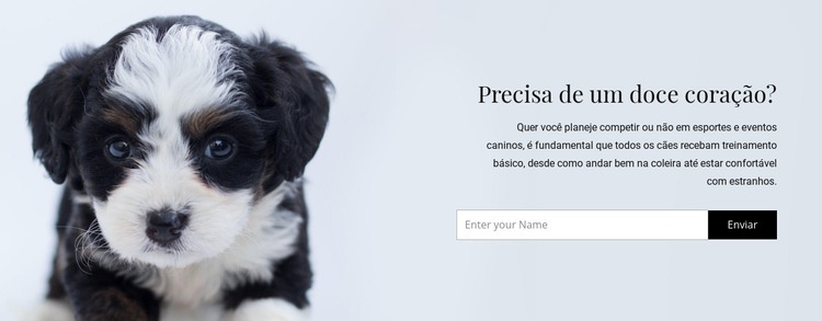 Leve um cachorro de um abrigo Construtor de sites HTML
