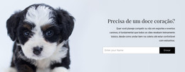 Leve Um Cachorro De Um Abrigo - Download De Modelo HTML