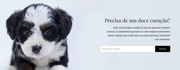 Leve Um Cachorro De Um Abrigo - Tema WordPress Responsivo
