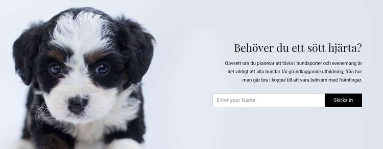 Ta en hund från ett skydd HTML-mall