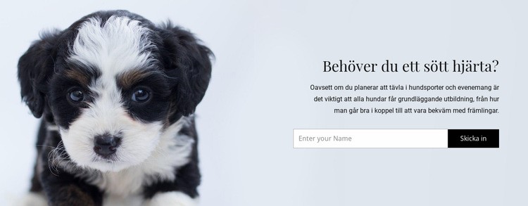 Ta en hund från ett skydd Webbplats mall