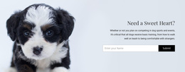Responsive Web Template For Take A Dog From A Shelter