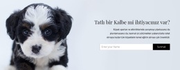 Barınaktan Bir Köpek Alın - Duyarlı HTML5 Şablonu