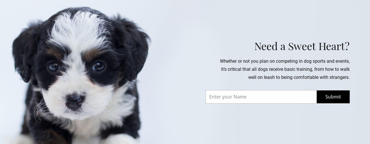 Haal een hond uit een opvangcentrum Website ontwerp