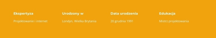 Projektowanie i internet Szablon