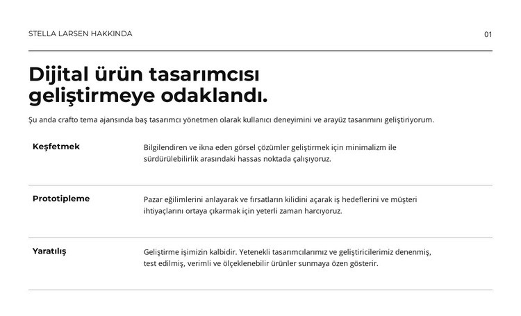 Dijital ürün Web sitesi tasarımı